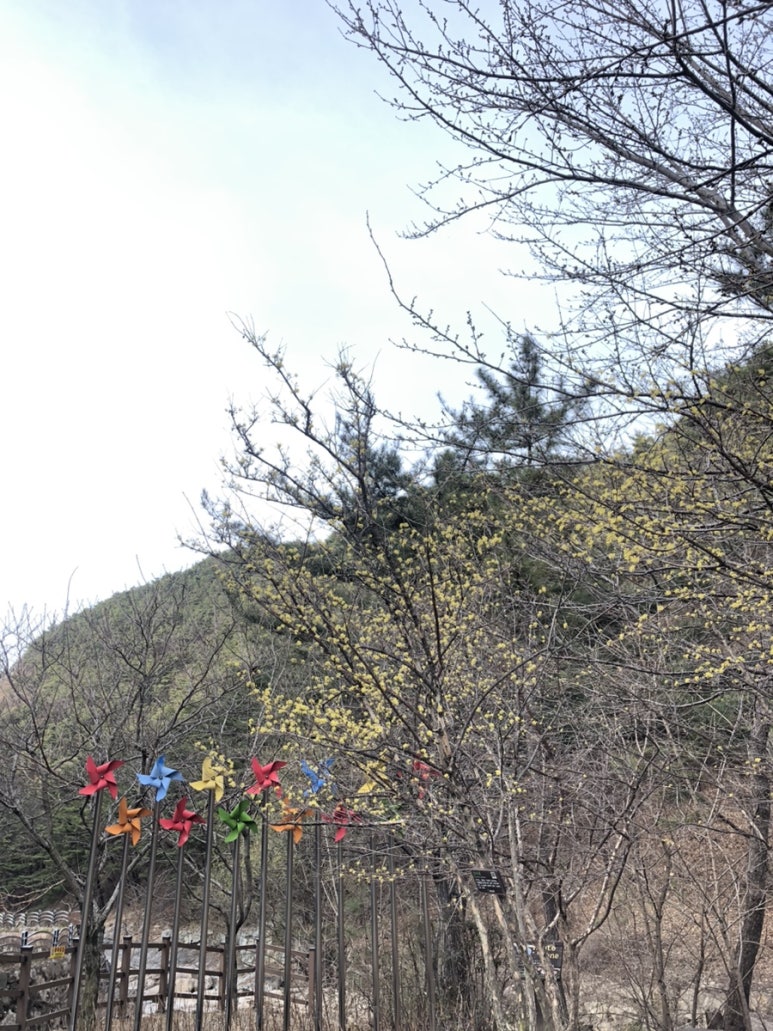 꽃동네화원 이미지