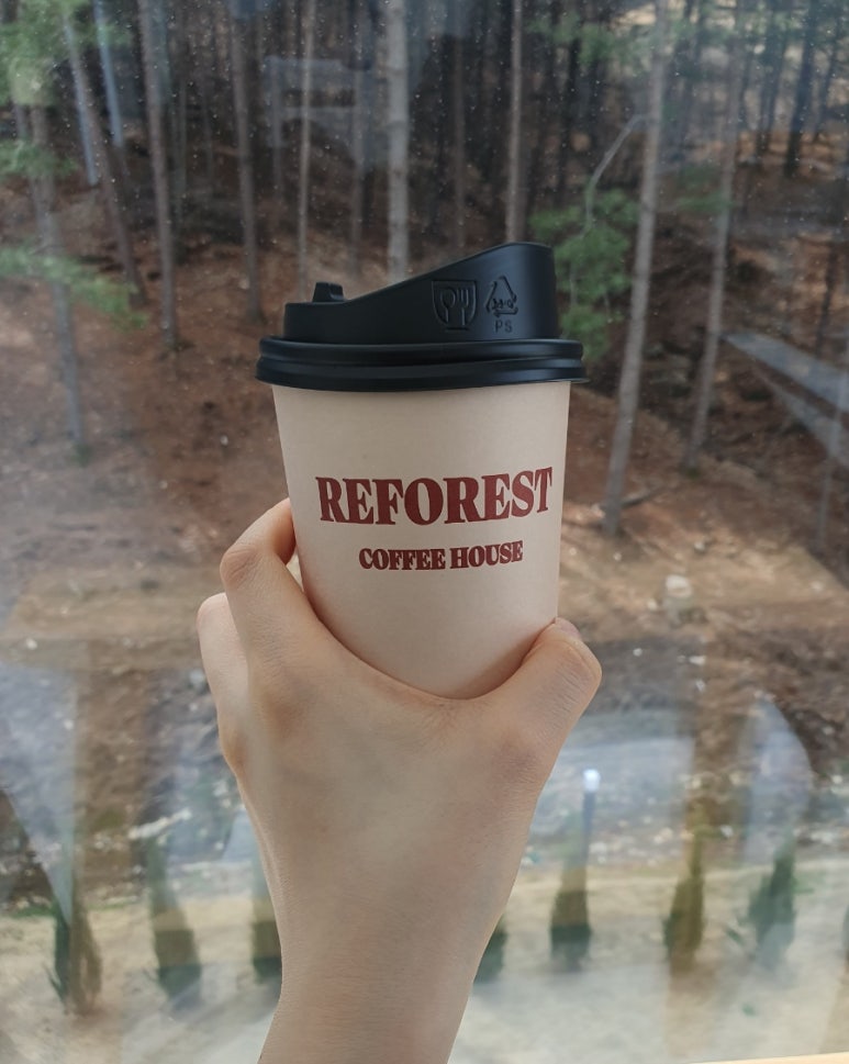 레포레스트(REFOREST) 이미지