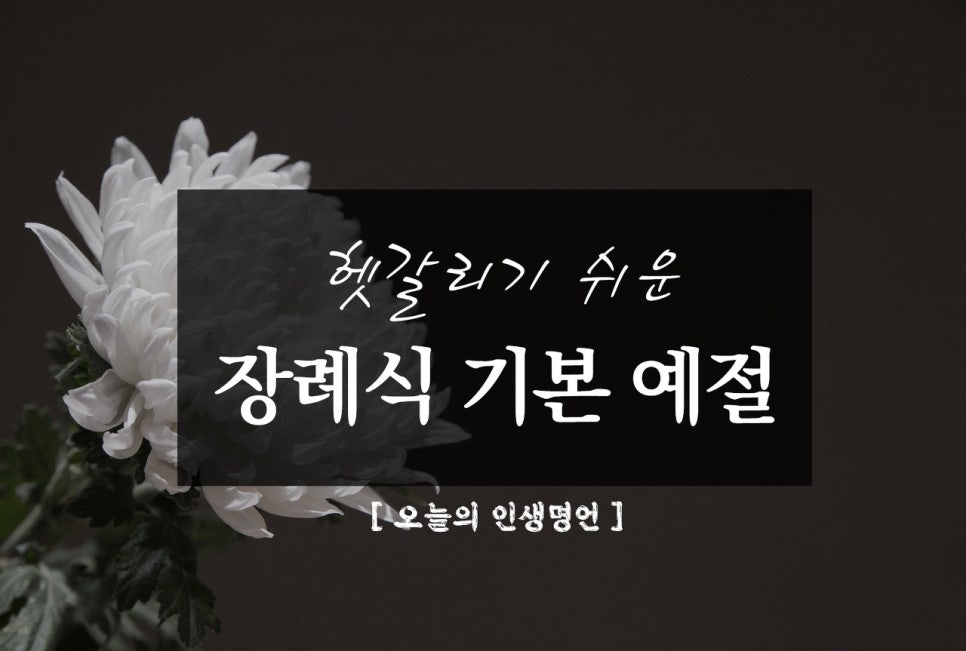 순수상조 이미지