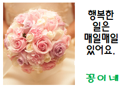 꽃쑤니 이미지