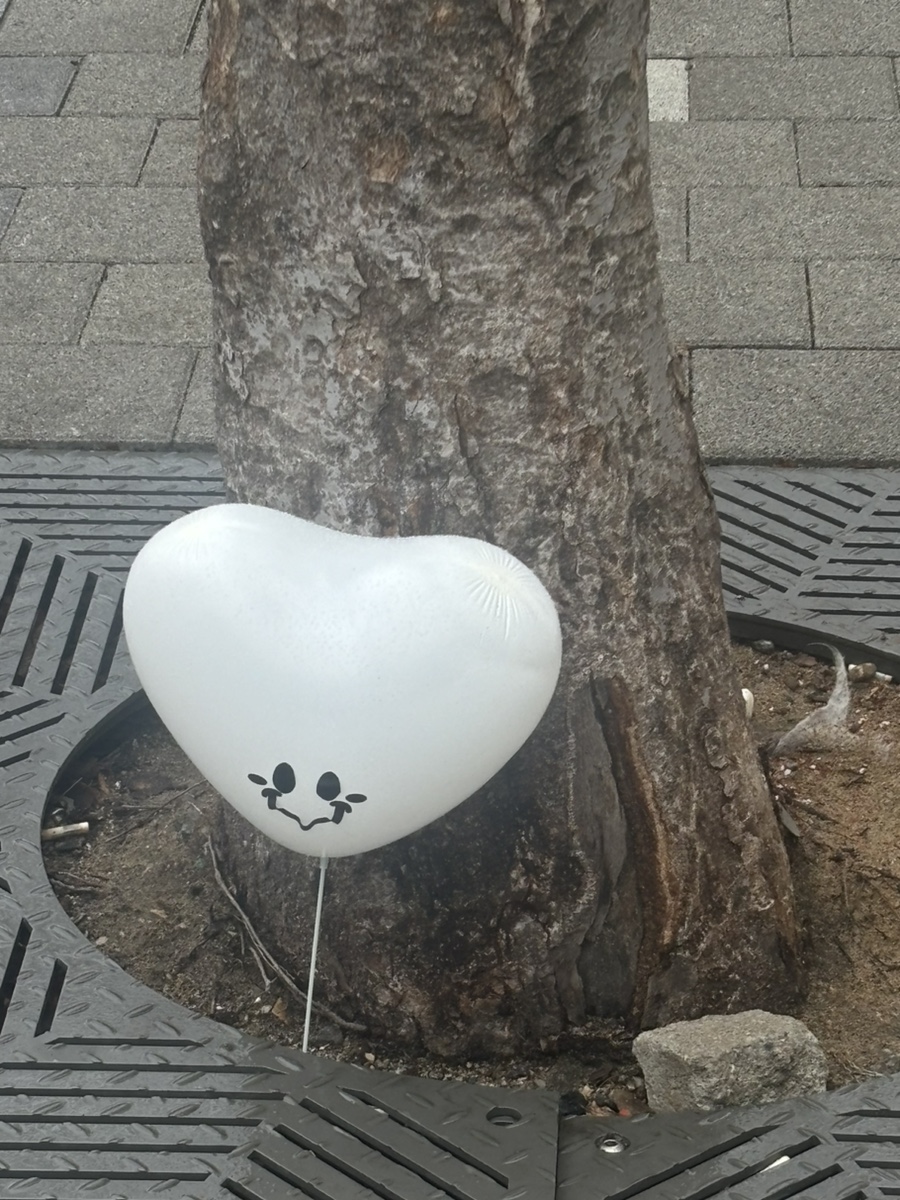 주문 합정 이미지