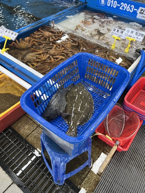 동해수산회센타 이미지