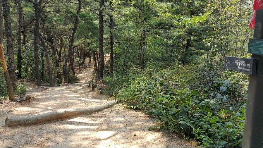 엘림환경 이미지