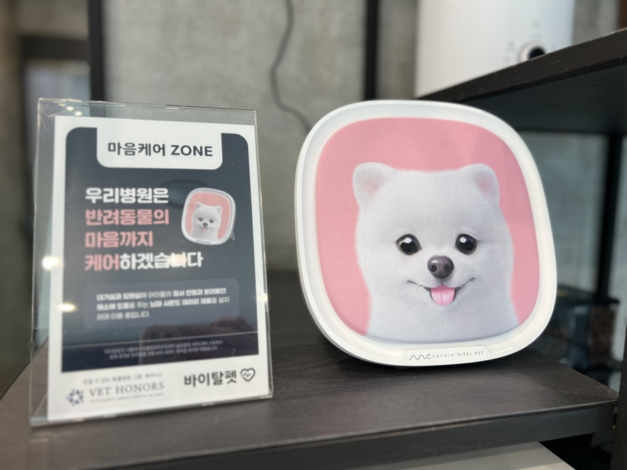 강남 24시 SNC 동물병원 슬개골탈구 진료 후기 및 비용 — 사진 12