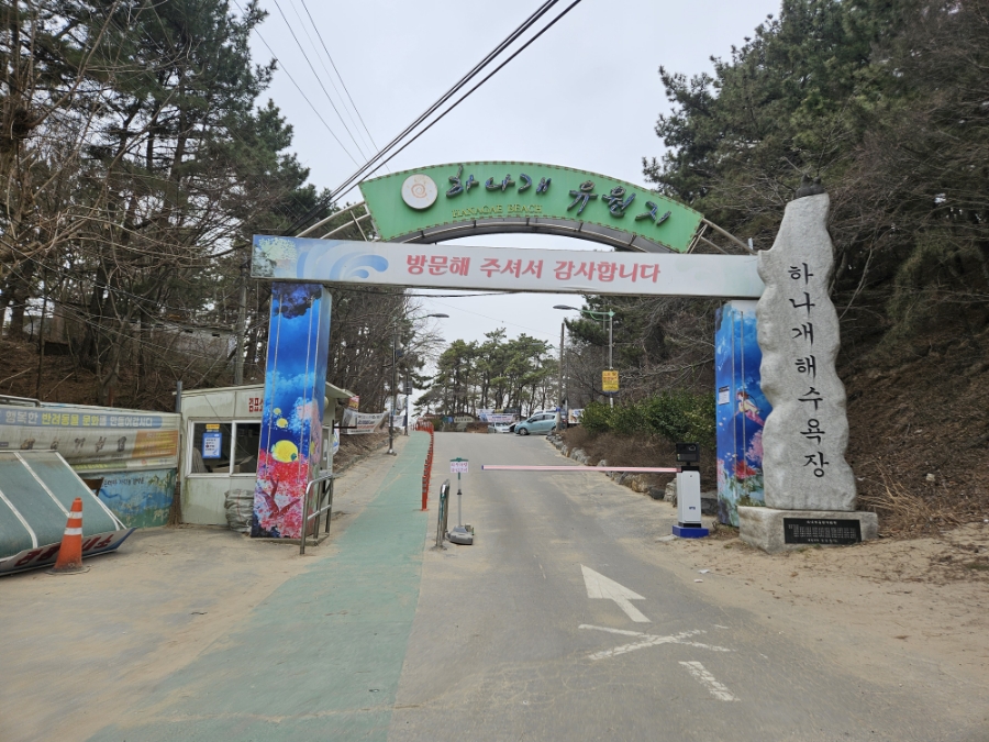 심기동 김밥 이미지