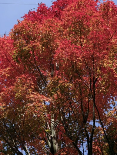 뚜레쥬르부산남천점 이미지