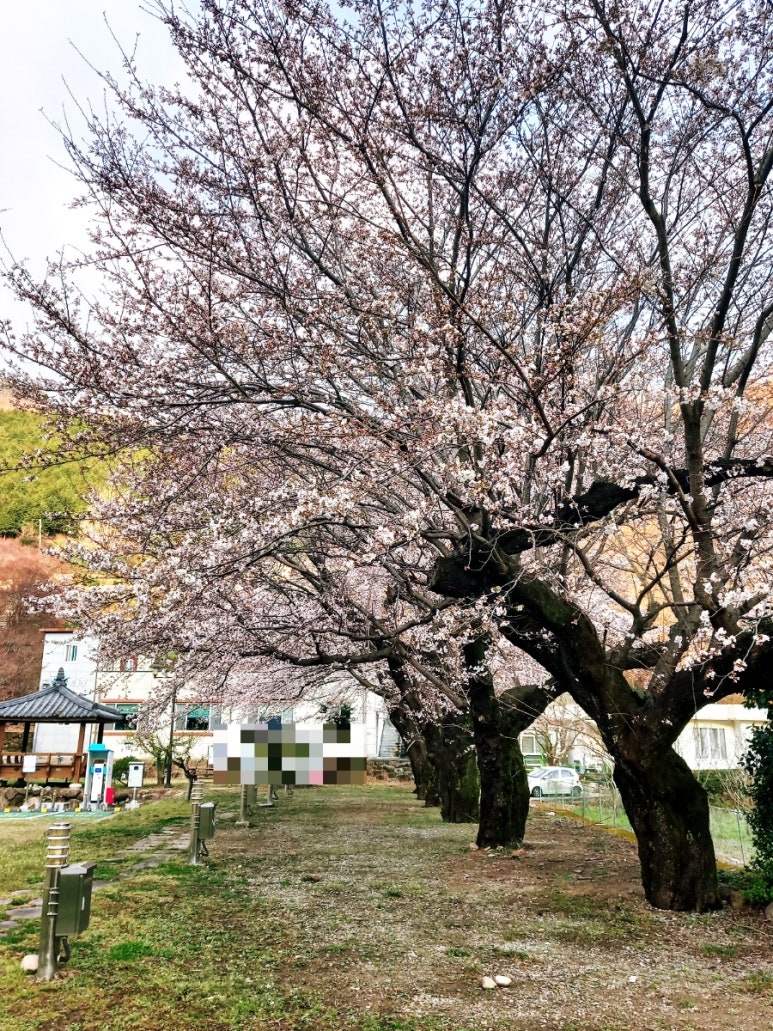메아리 캠핑장 이미지