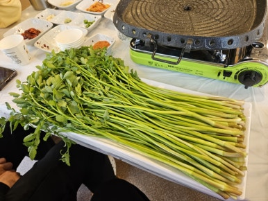 박기홍한재미나리식당 이미지