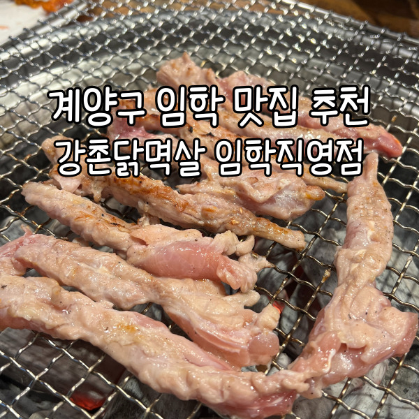 강촌닭멱살 이미지