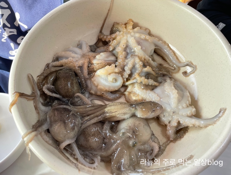기섭이네수산 이미지