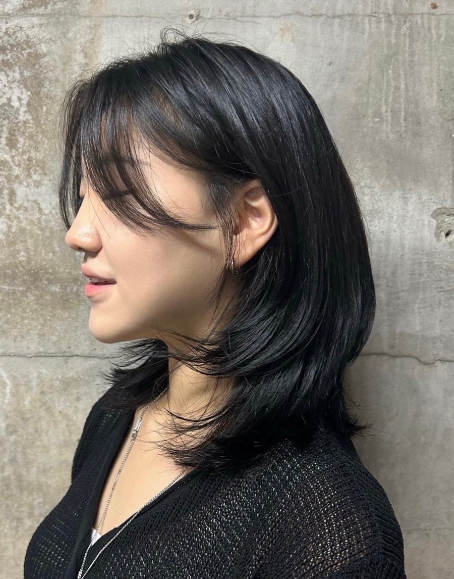 디페드 이미지
