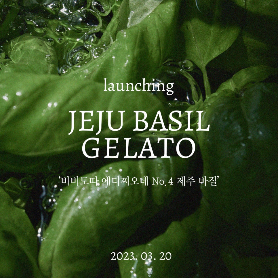 비비도따 이미지