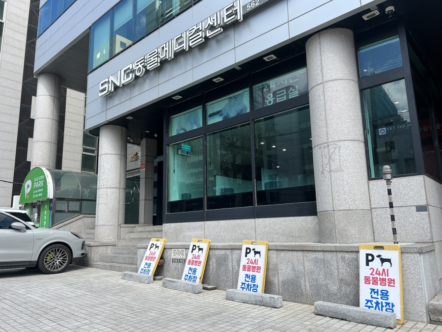 강남 24시 SNC 동물병원 슬개골탈구 진료 후기 및 비용