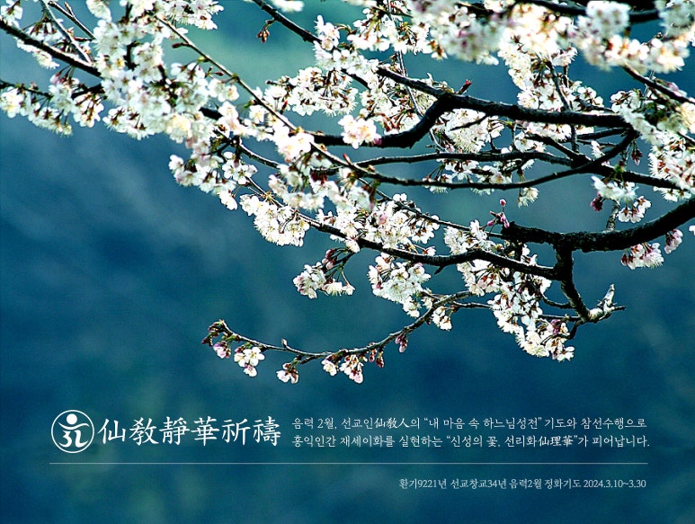 재단법인 참선재단 이미지