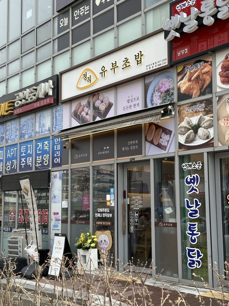 정직유부화성 이미지