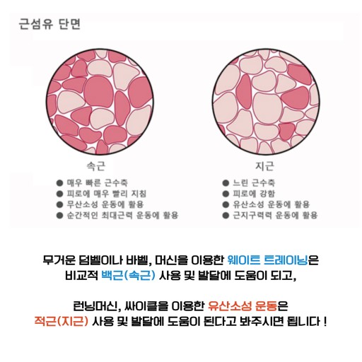 멋짐헬스&PT 이미지