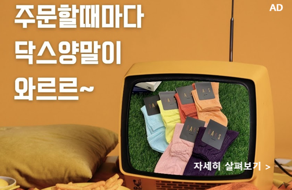 오피스피크닉 이미지
