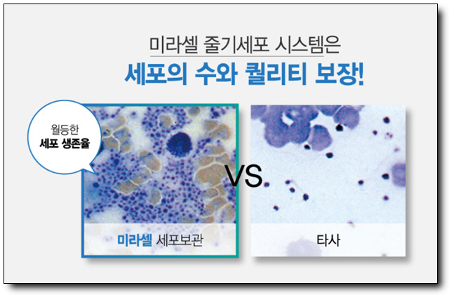 엠179 이미지