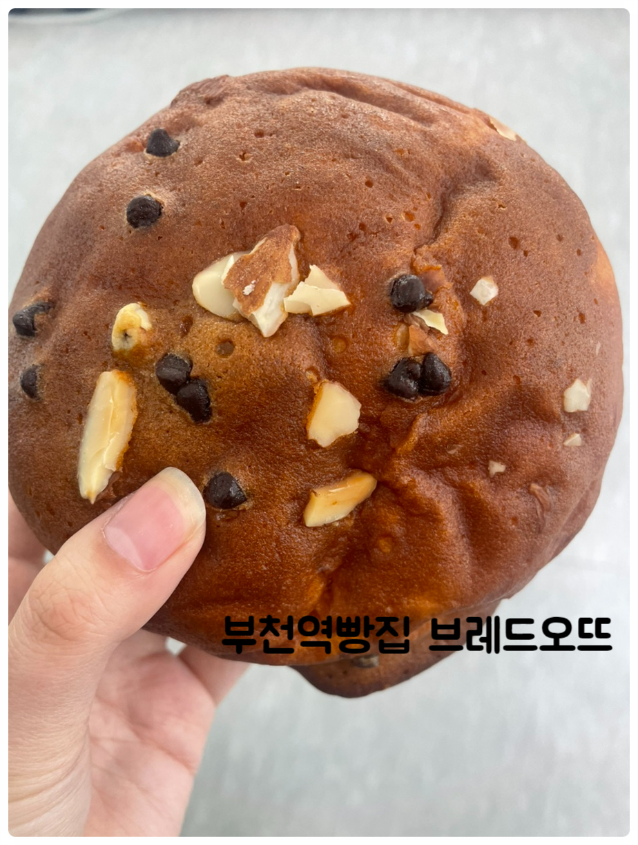 브레드오뜨 이미지