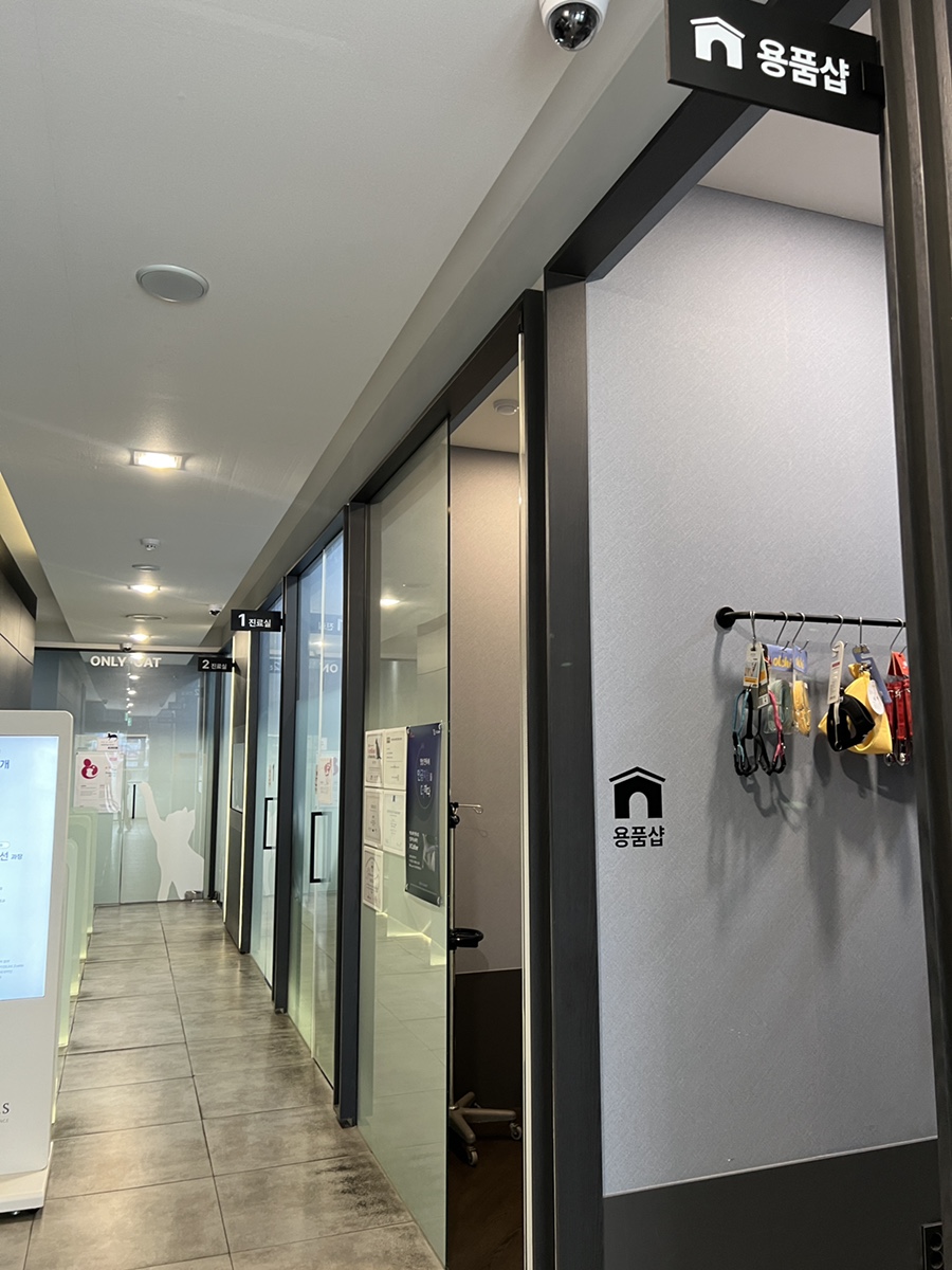 강남 24시 SNC 동물병원 슬개골탈구 진료 후기 및 비용 — 사진 14