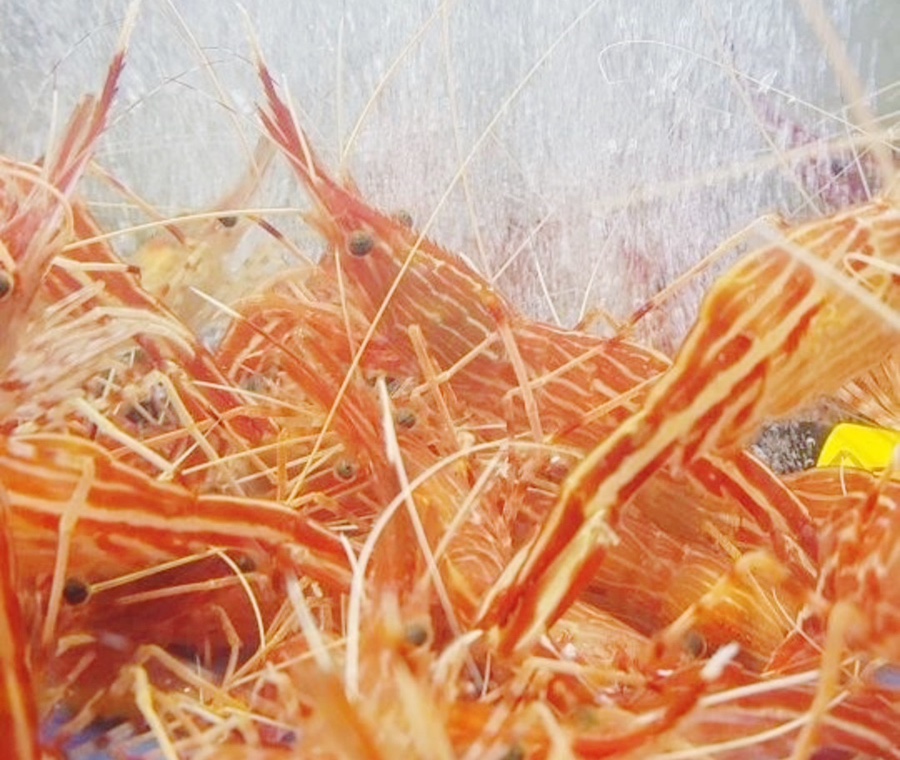 대포식당 이미지