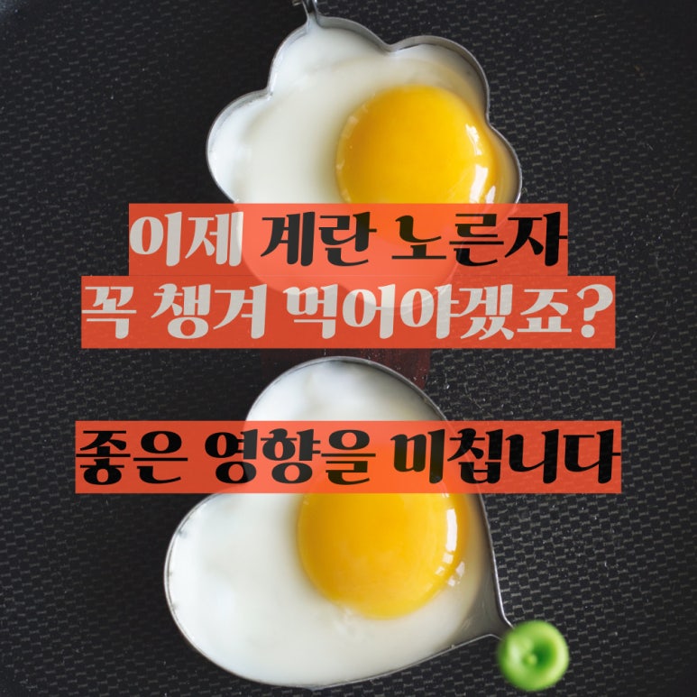 노란계란 이미지