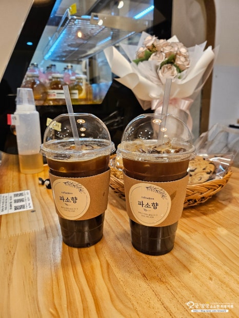 파소향 이미지