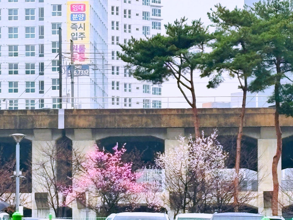 호두나무한의원 이미지
