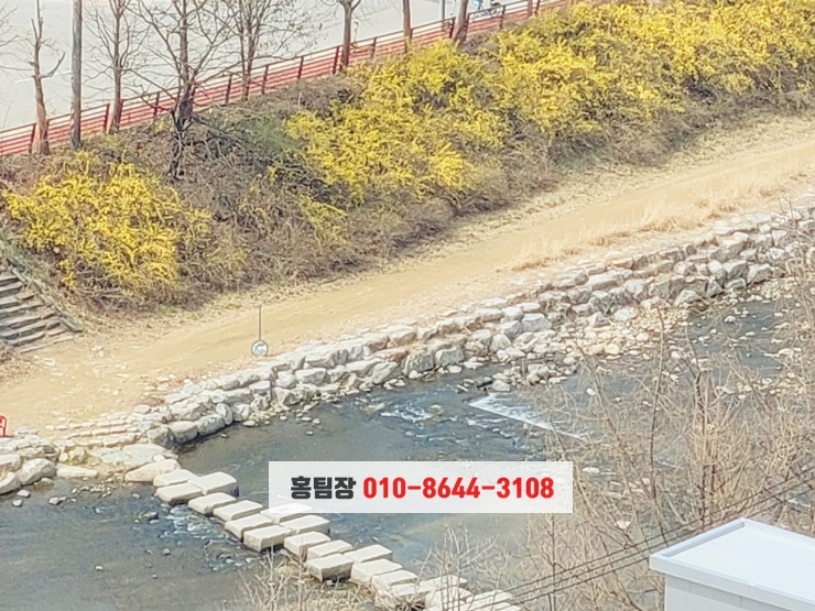 개나리식자재마트 이미지