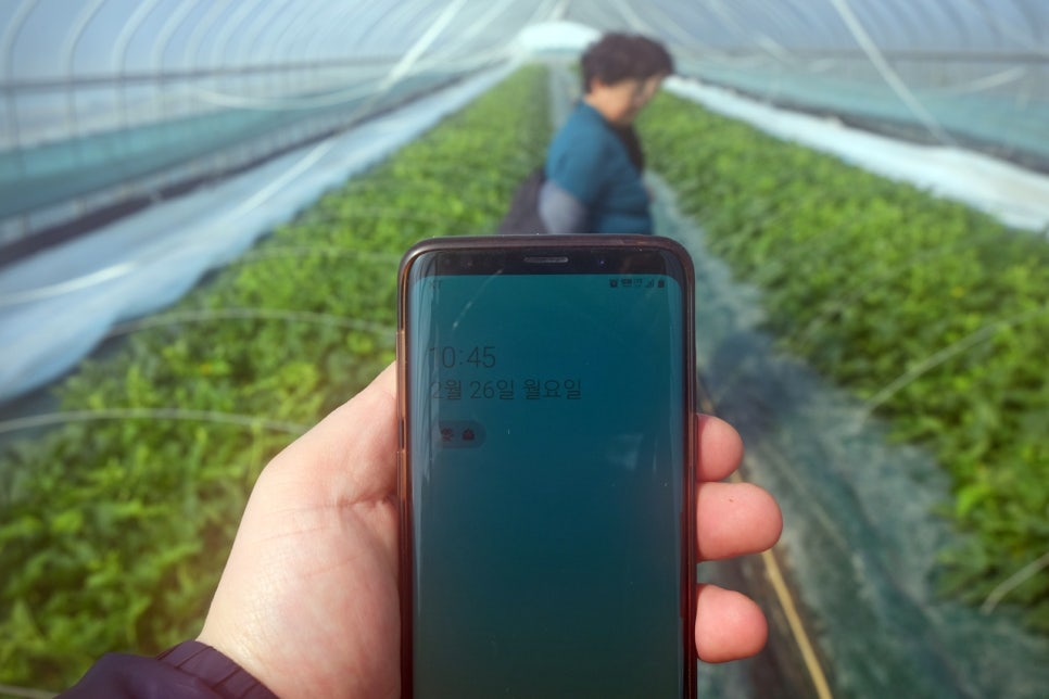 (주)성주농업회사 이미지