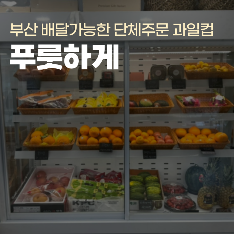 푸룻하게 이미지