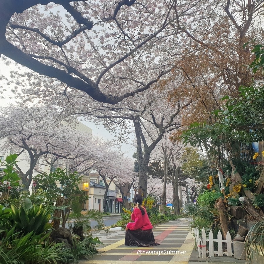 원이조 이미지