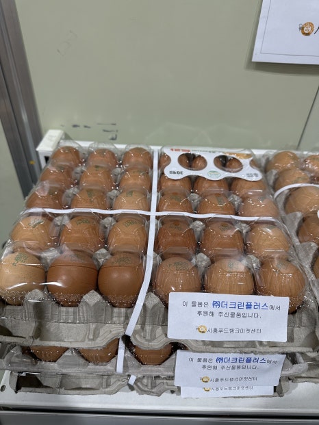 대영이앤지 이미지