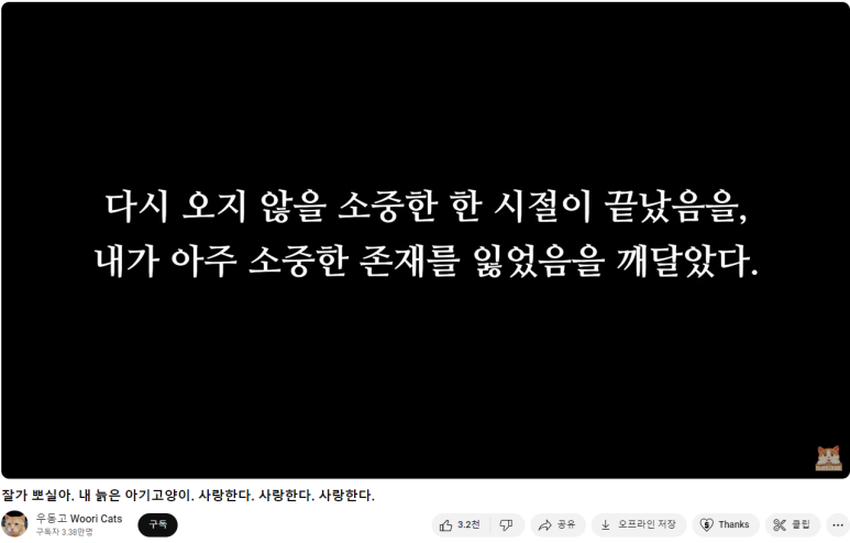 우동고 이미지