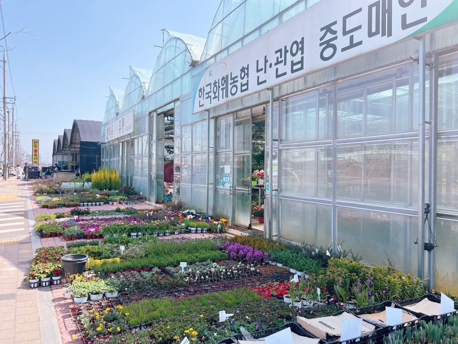 현우꽃토기 이미지