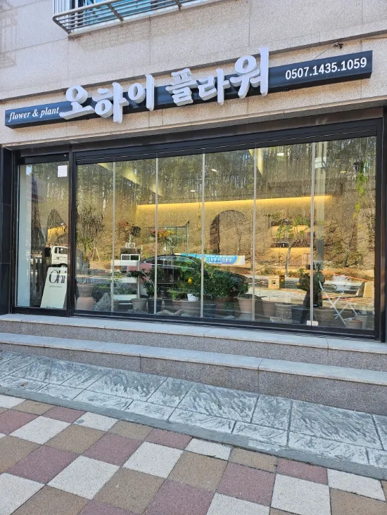 오하이플라워 이미지