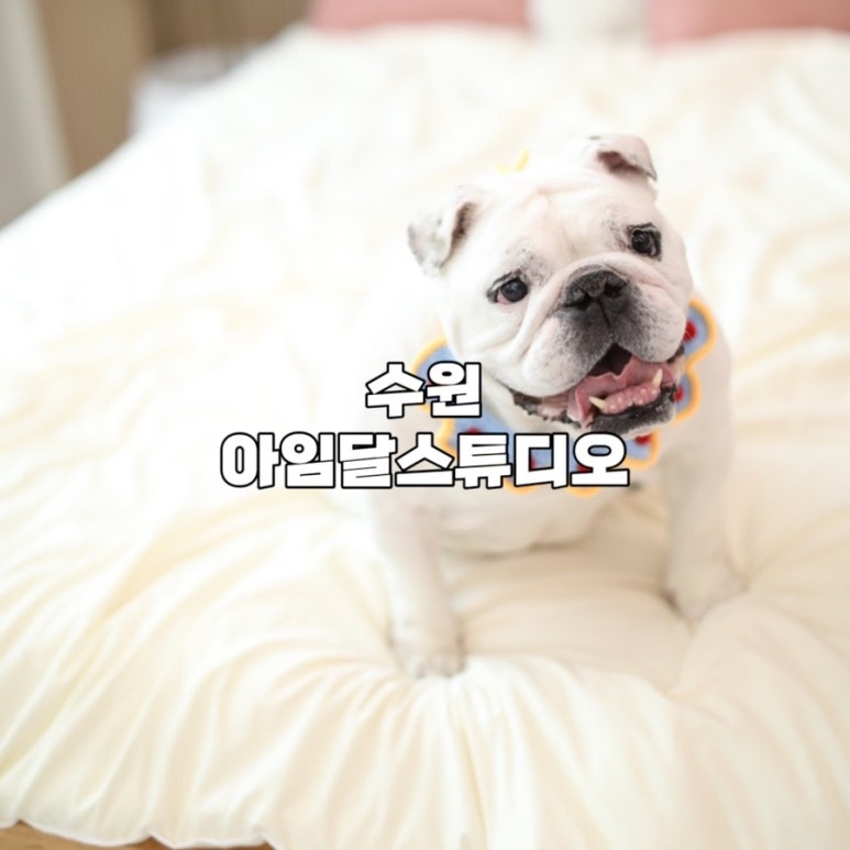 아임2스튜디오 이미지