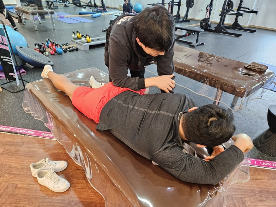 레이블짐&피티 이미지