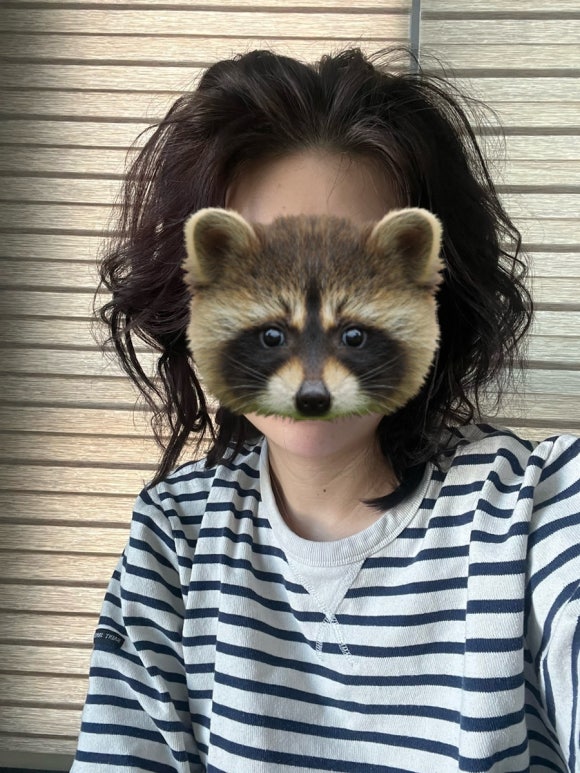 치킨플러스새롬점 이미지