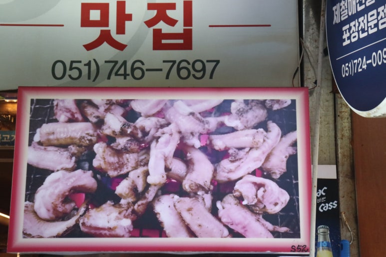 바다산곰장어 이미지