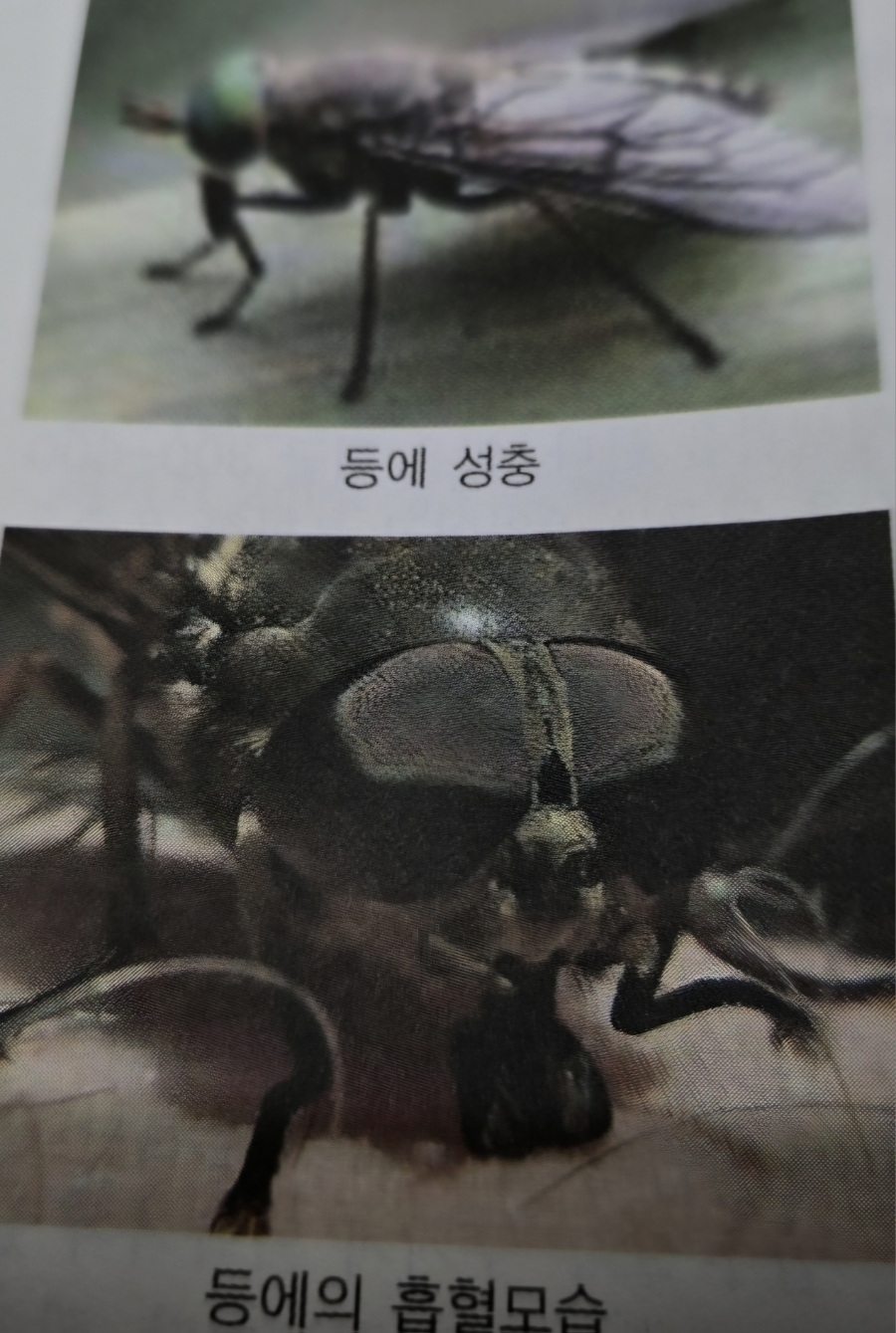 하나방역 대구북부지사 이미지