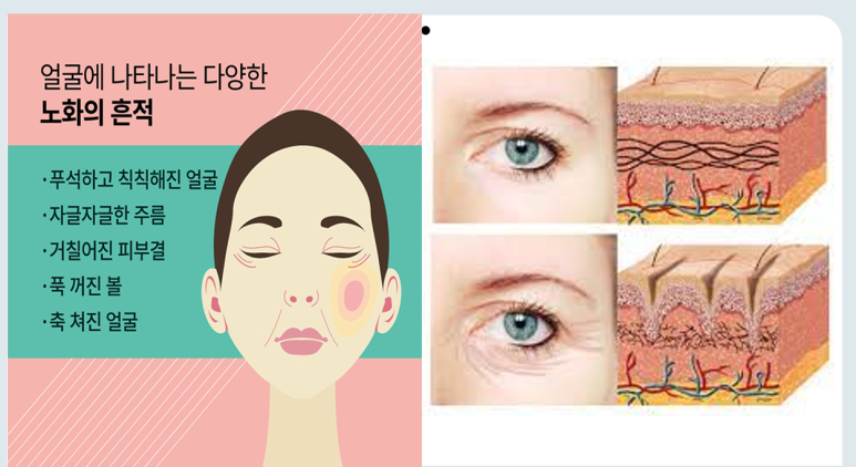 씨투지 이미지