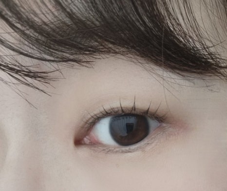 라온속눈썹 이미지