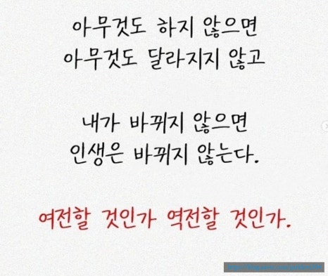 내가살뺀점핑다이어트 이미지