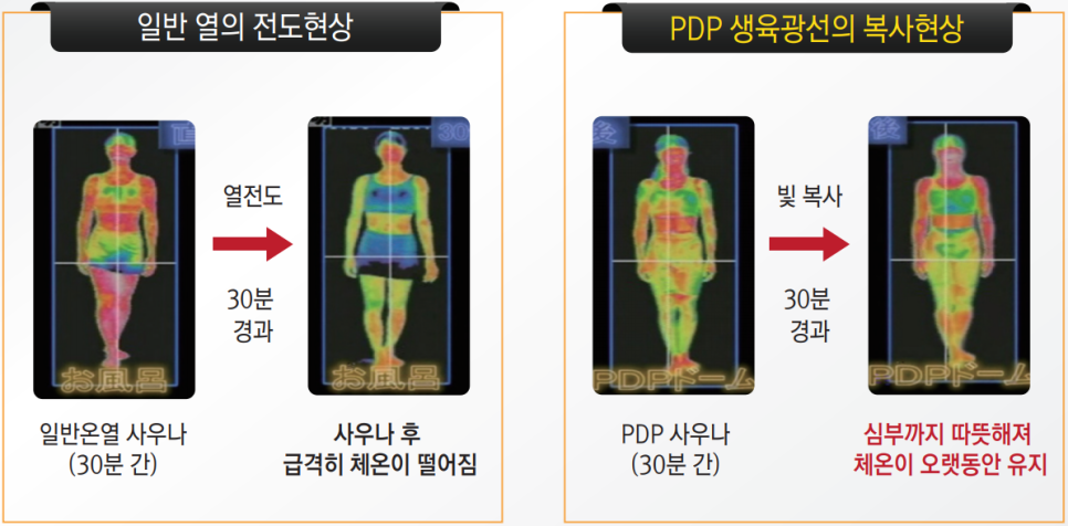 바이오포톤 이미지