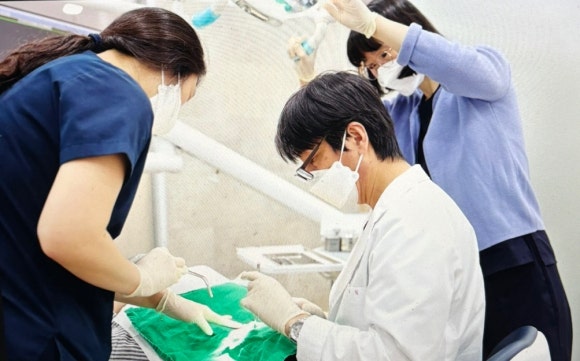 김용철치과 이미지
