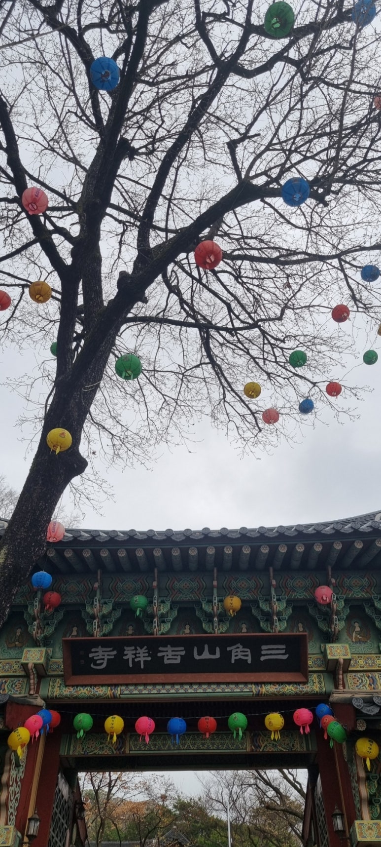 경일항공여행사 이미지