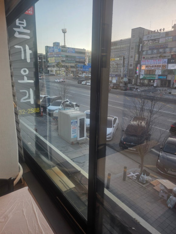 본가오리 이미지