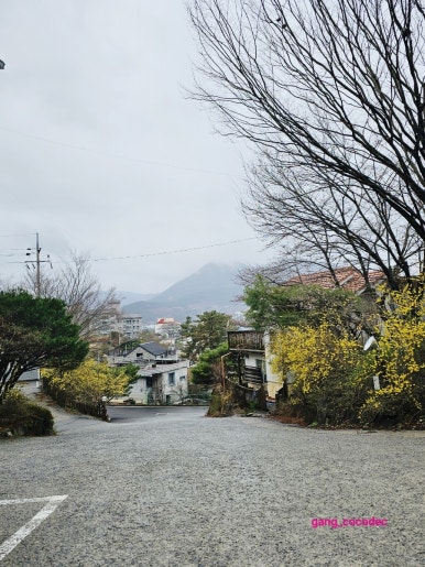우리밀팔도짜장 이미지