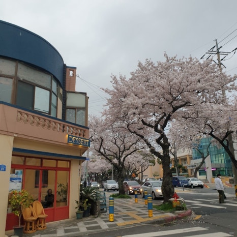 원이조 이미지